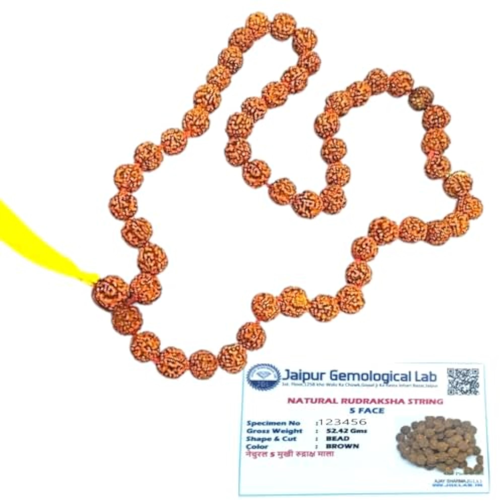 Jaipur Lab Certified 5 Mukhi Rudraksha Maala